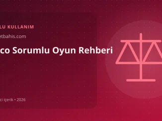Spinco Sorumlu Oyun Rehberi görseli