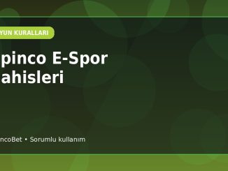 SpincoBet E-Spor Pazar Rotası